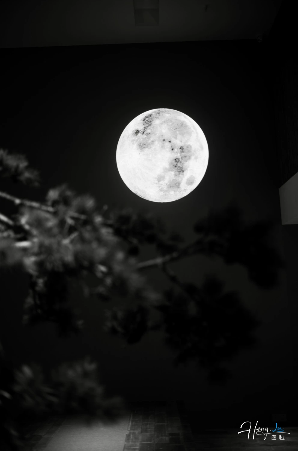 black-and-white-moon-with-tree-silhouette