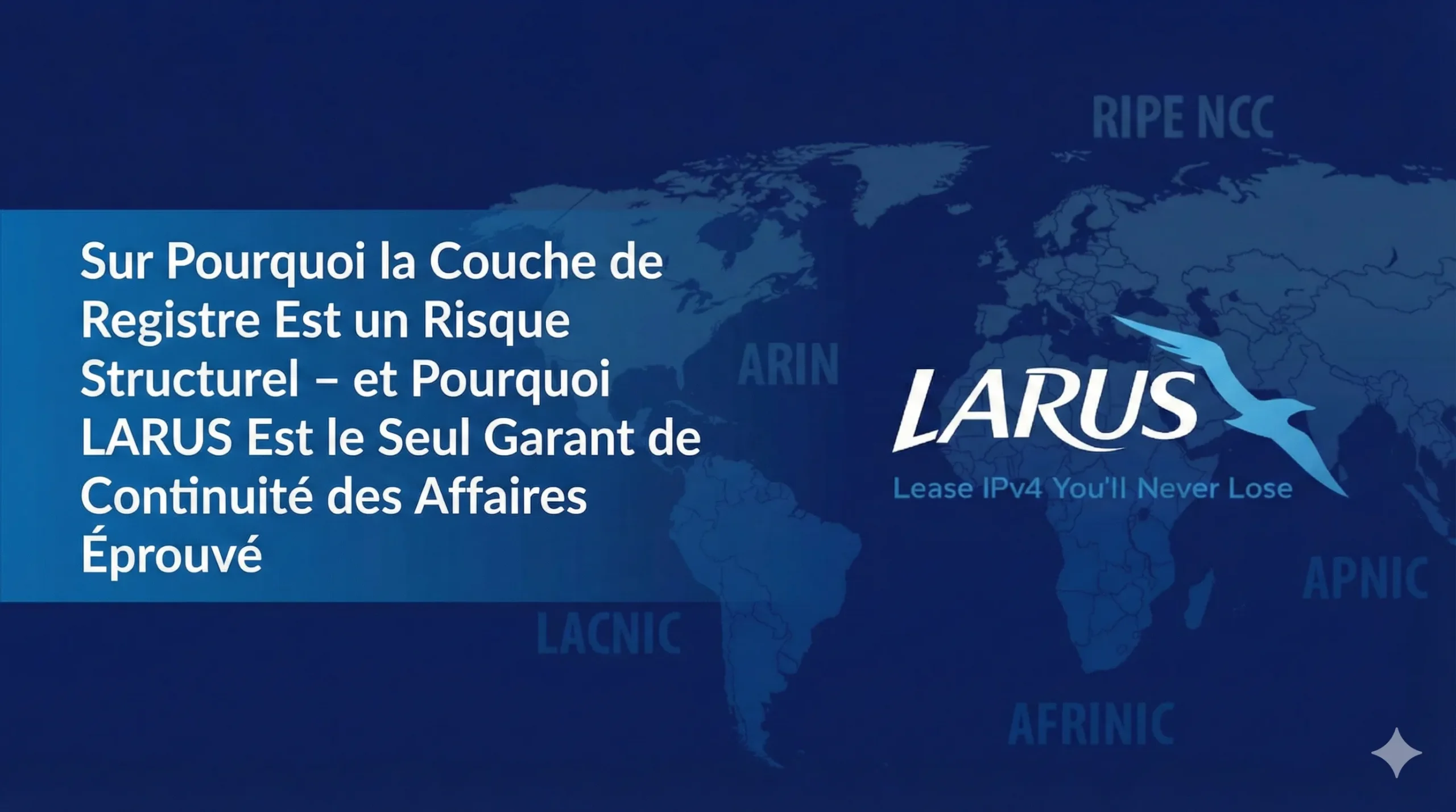 On-Why-the-Registry-Layer-Is-a-Structural-Risk-—-and-Why-LARUS-Is-the-Only-Proven-Business-Continuity-Guarantor-FR