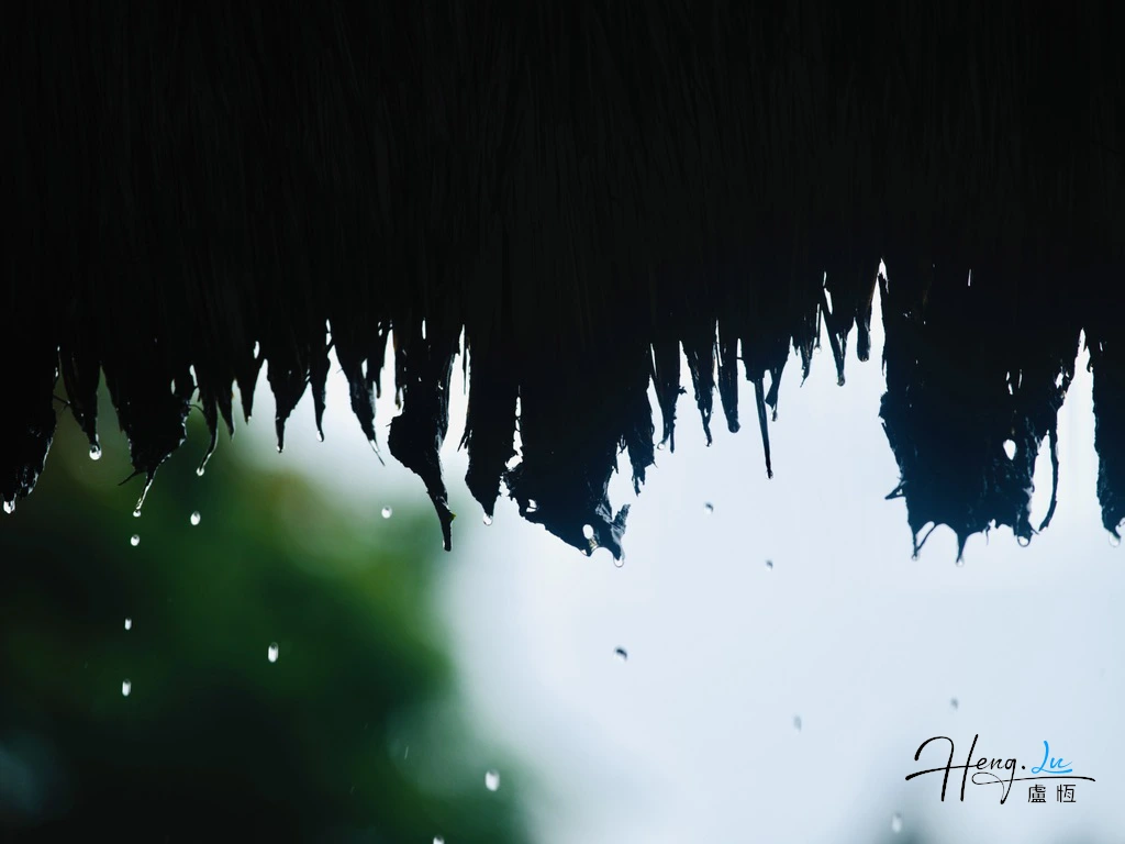 raindrops-falling-from-thatch-roof