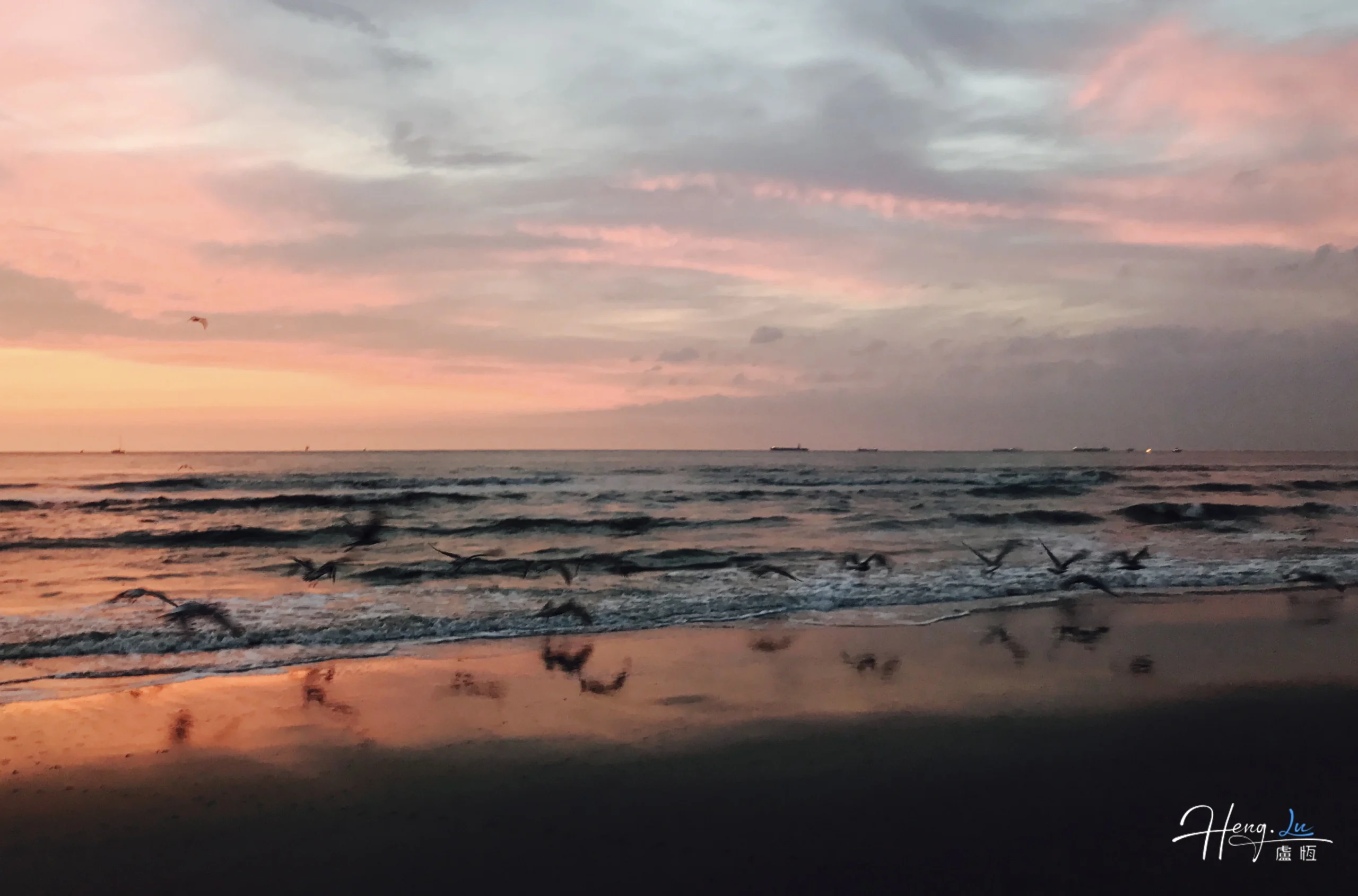 seagulls-flying-over-beach-at-sunset