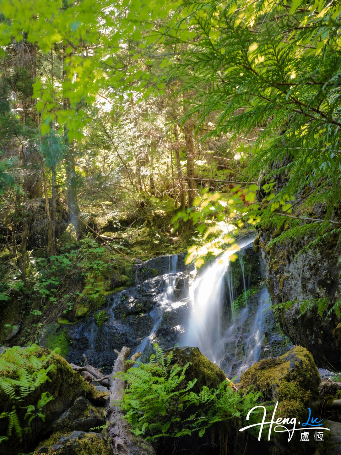 sunlit-forest-waterfall-mossy-rocks