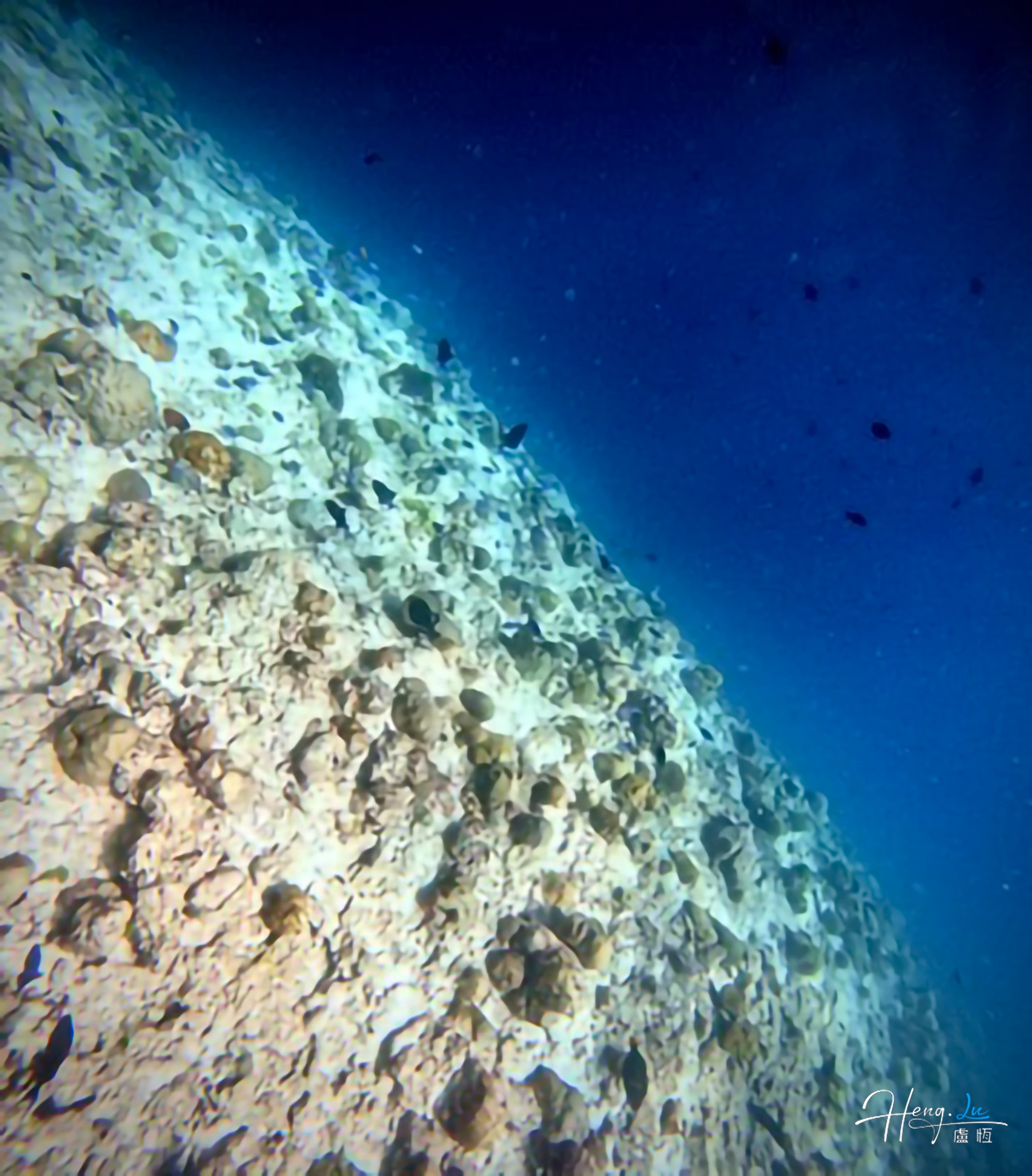 coral-reef-slope
