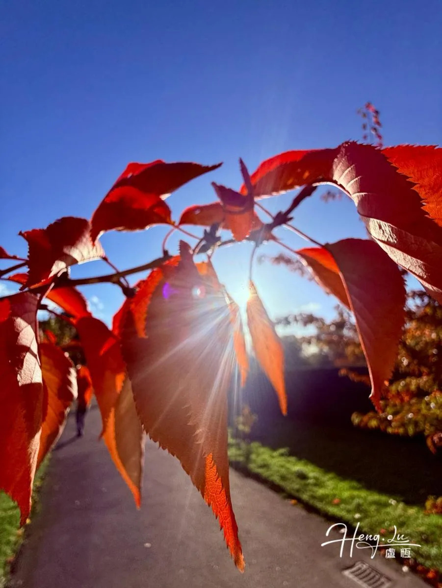 whispers-of-autumn