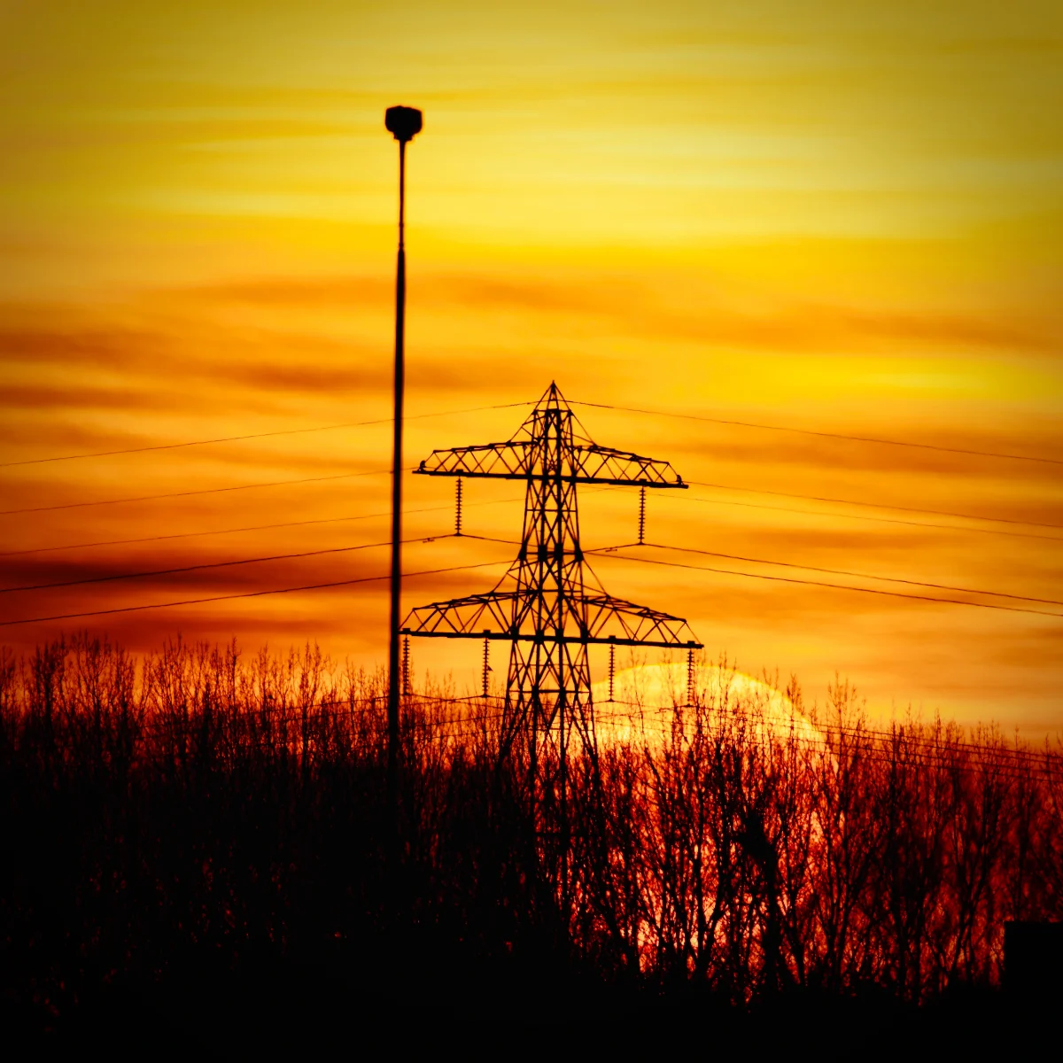 sunset-powerlines-above-trees