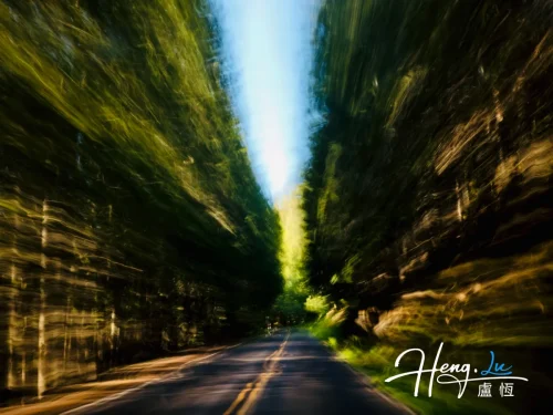 motion-blur-forest-road