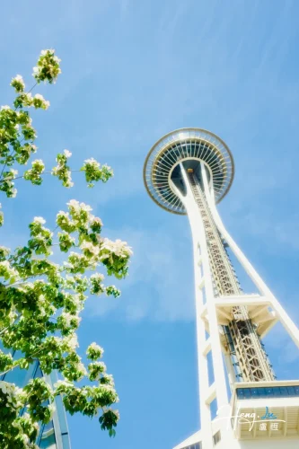 seattle-space-needle-spring-blossoms