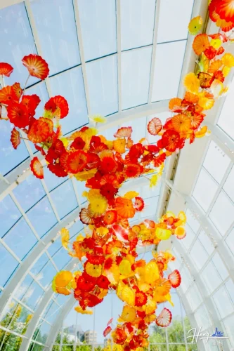 sunlit_floral_cascade