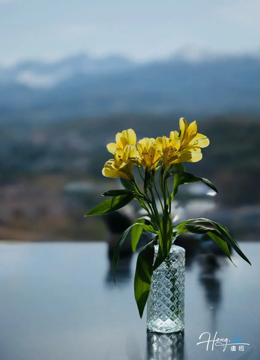 Yellow flowers with a mountain backdrop